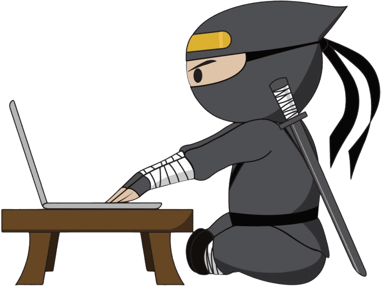 Hacker ninja skills image