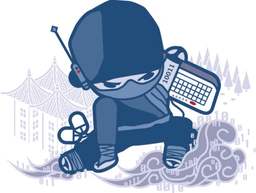Ninja with laptop for portfolio image