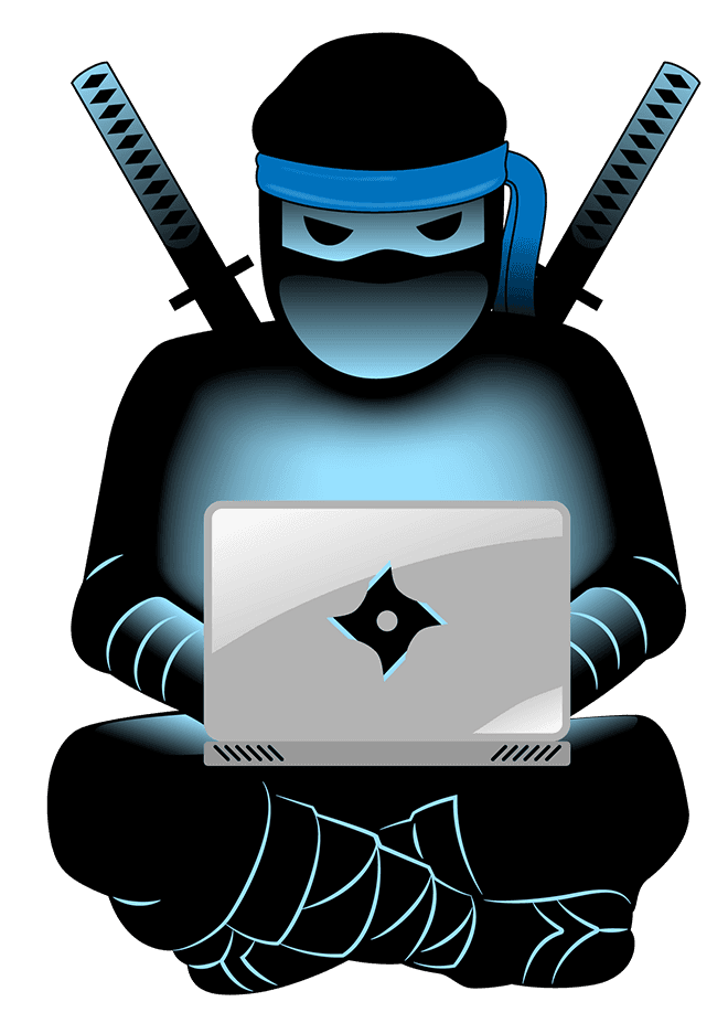 Hacker ninja image